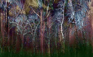 I Turned My Photography Into Walking Art