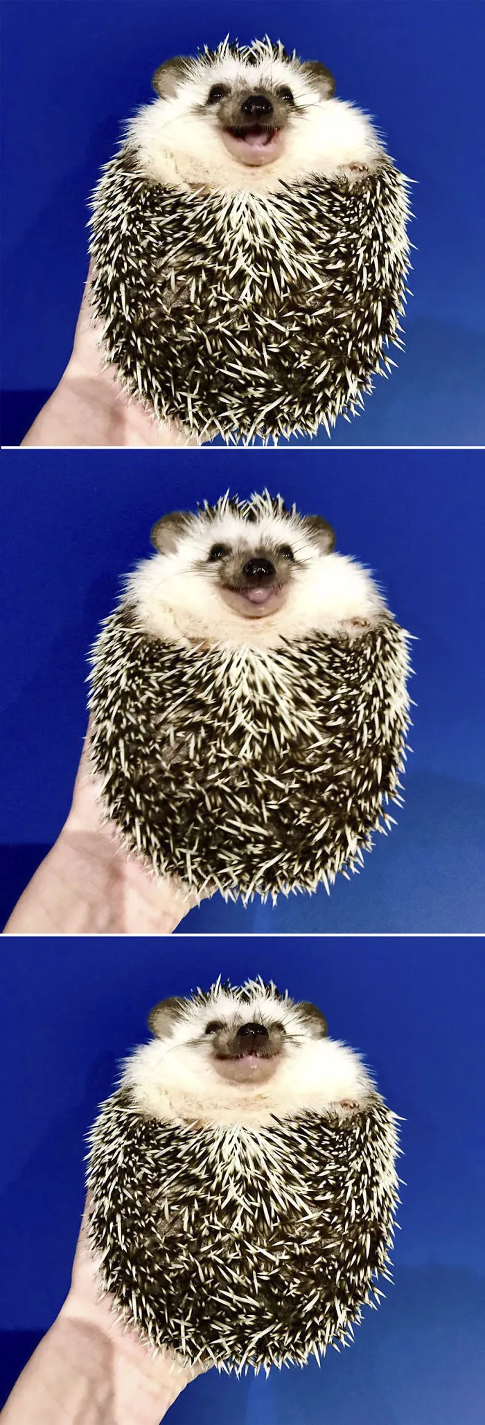 That Friday Feeling...