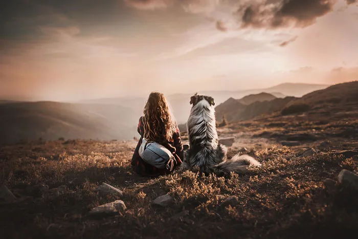 50 Of The Best Dog Photos I've Ever Taken