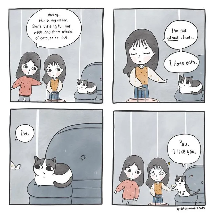 I Document My Life With A Cat In These 40 Comics