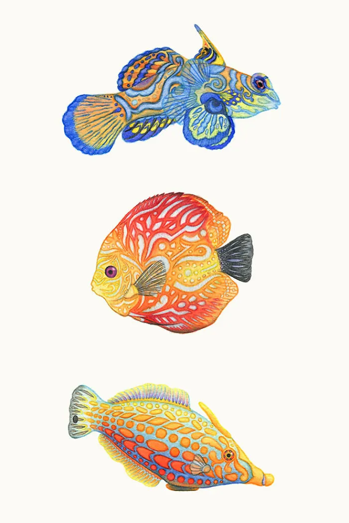 Water Colors