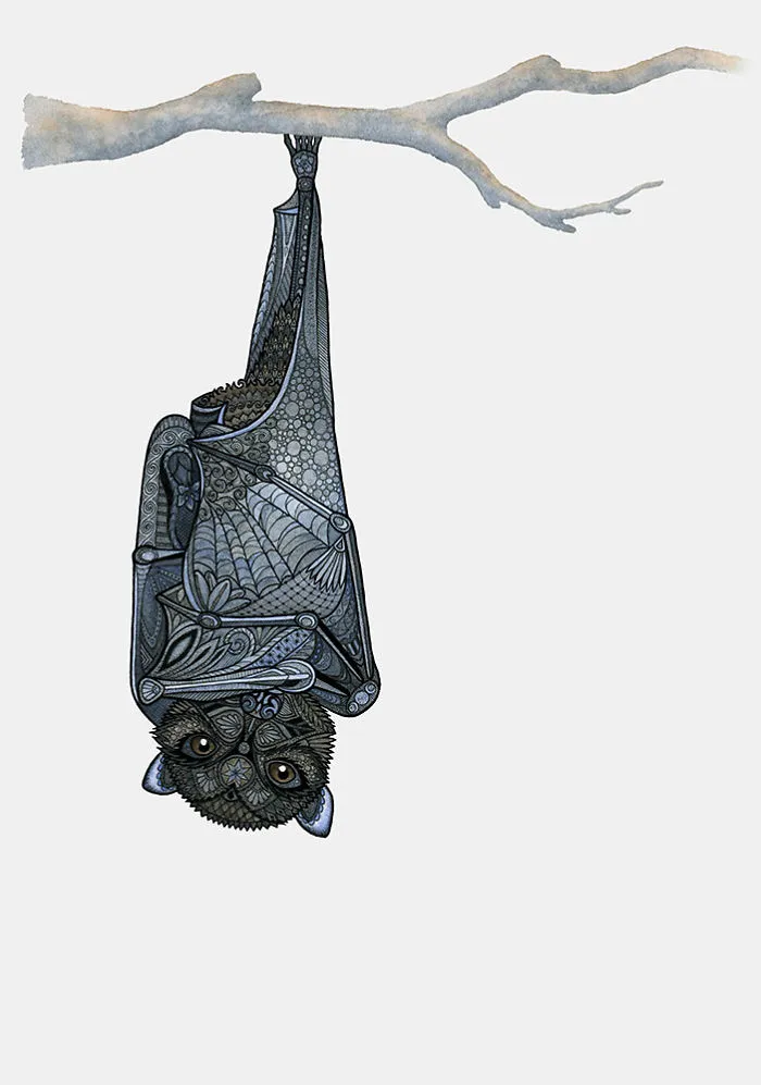 Inquisitive Bat