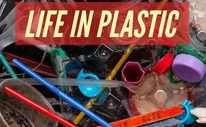 Life In Plastic - The Fight Against Plastic Pollution