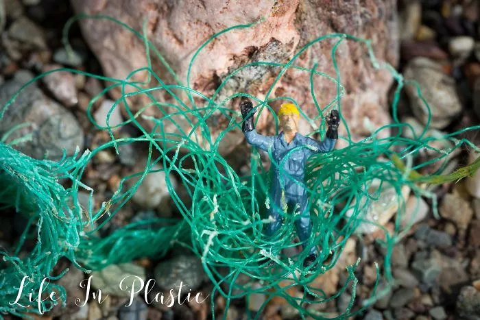Life In Plastic