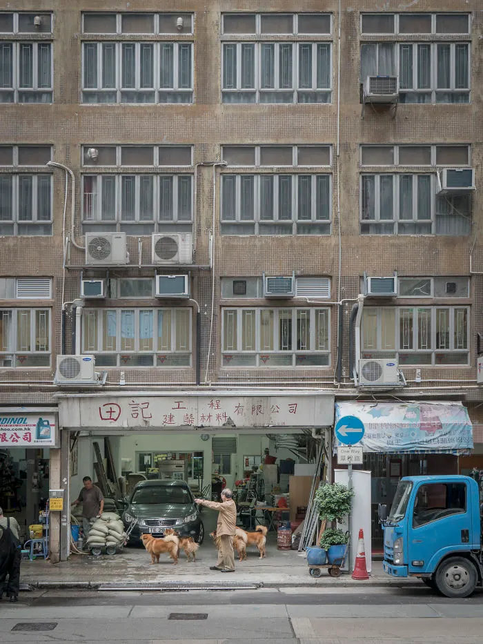 Dogs Living In Hong Kong’s Car Workshops In 22 Pictures