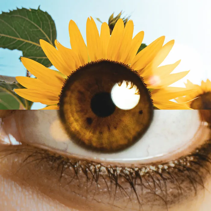 Pollens