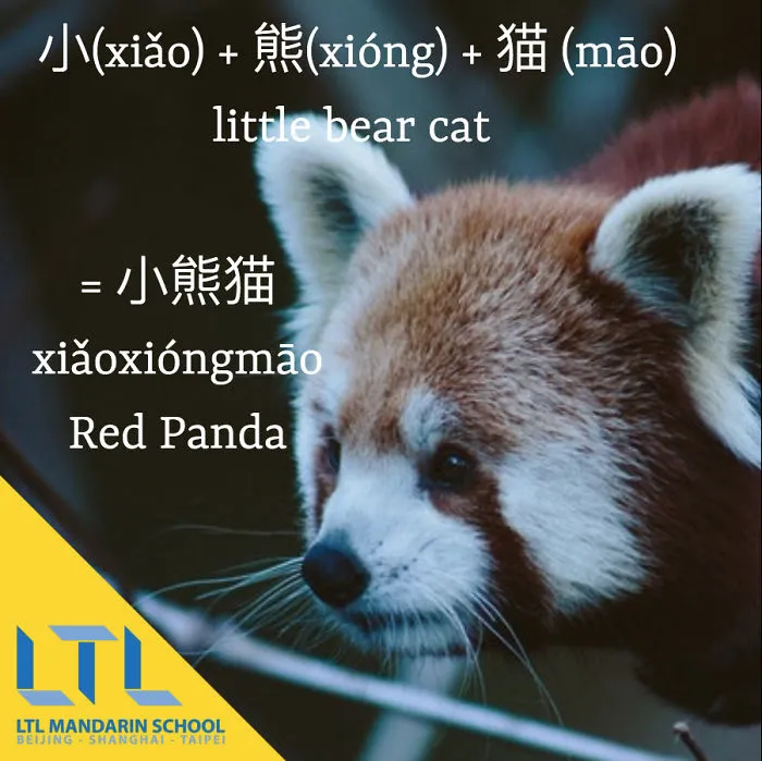 Funny Animal Names In Chinese