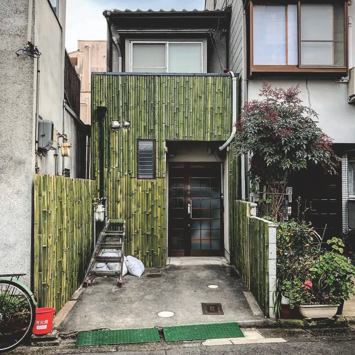 House With Bamboo Frontage: Still Freshly Green