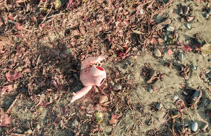 I Have Visited Marinella Di Sarzana Beach In Italy After The Nearby River Flood