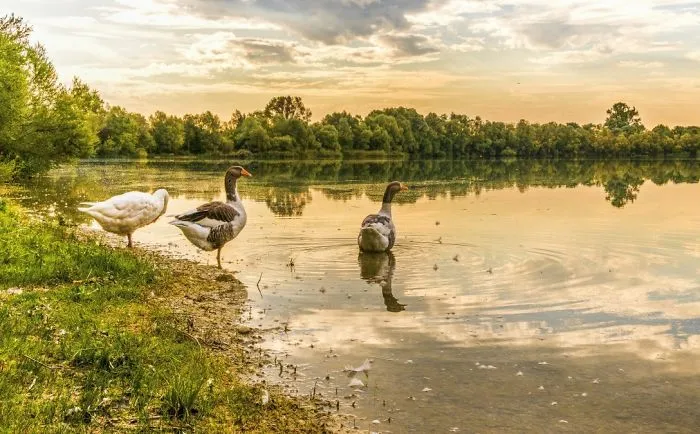 Wildlife Tourism In India