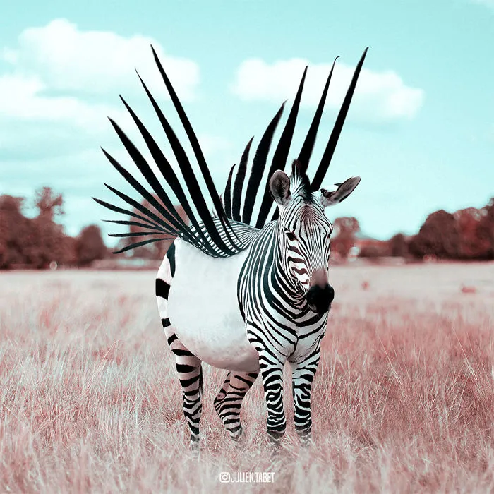 Libertad