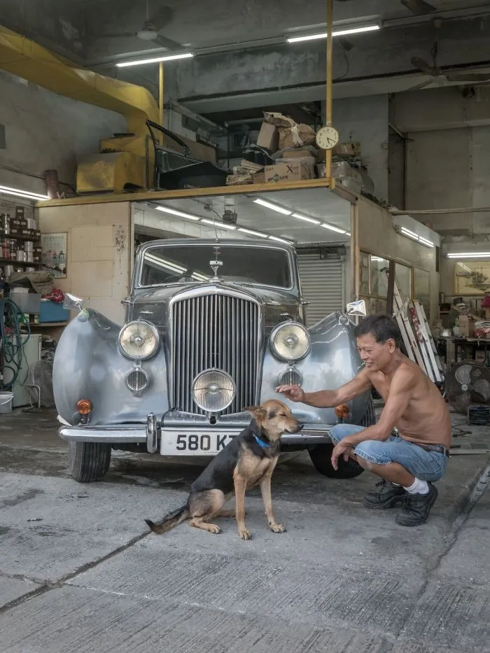Dogs Living In Hong Kong’s Car Workshops In 22 Pictures