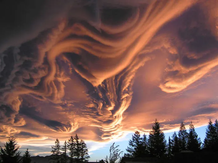 Natural Optical Illusions Which Look Cooler Than Sophisticated Photoshop