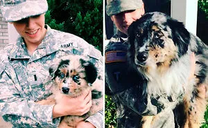 30 Photos Of Dogs Growing Up Next To Their Owners
