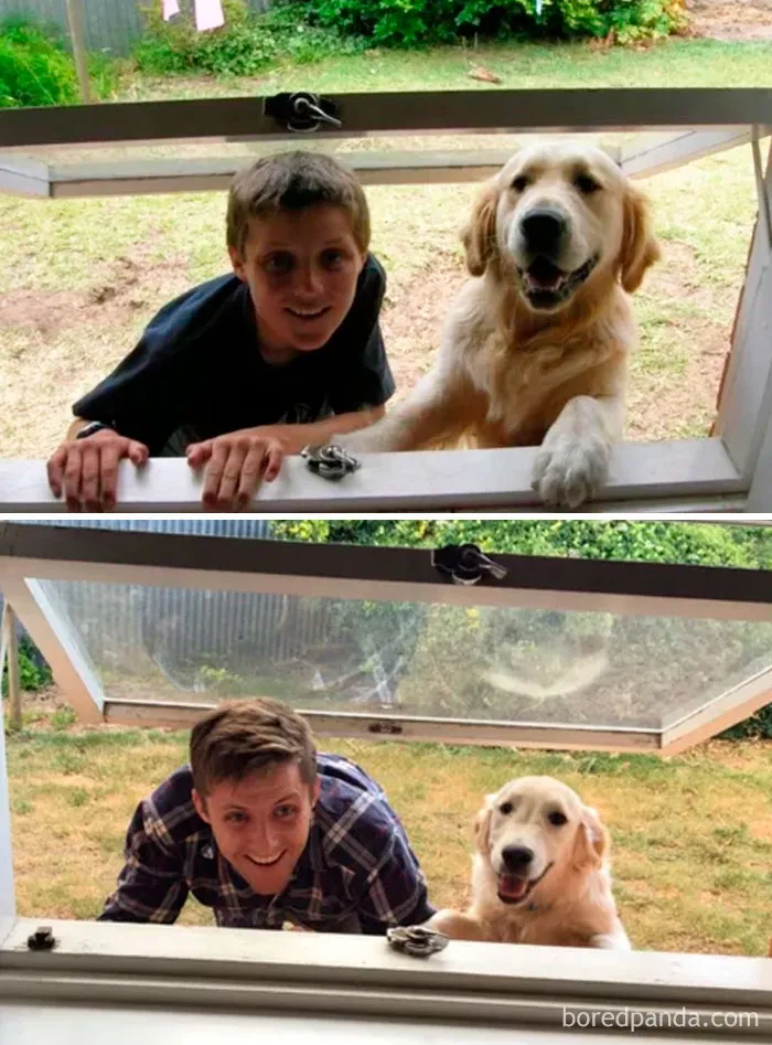 11 años