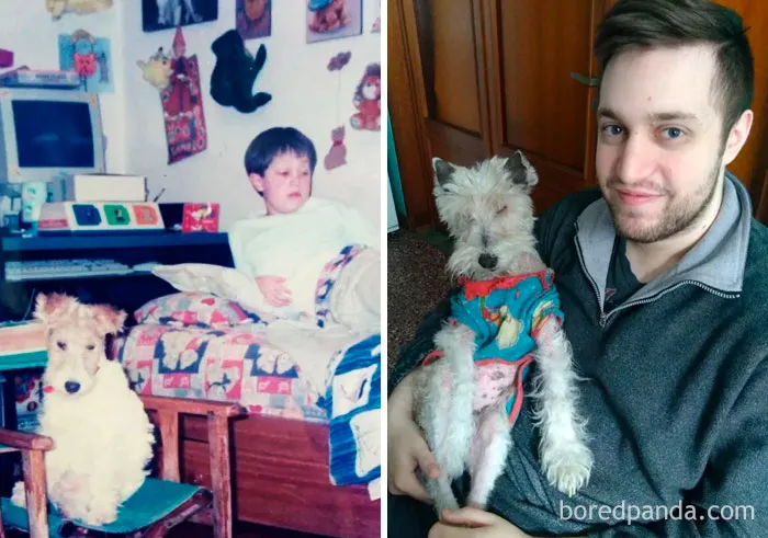 16 años después