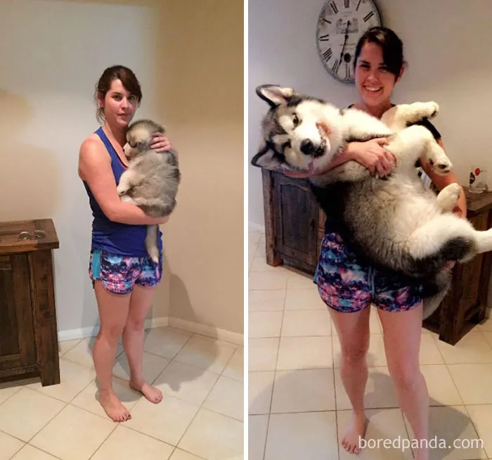 12 semanas de diferencia