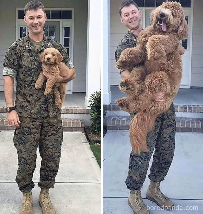 Antes y después del despliegue