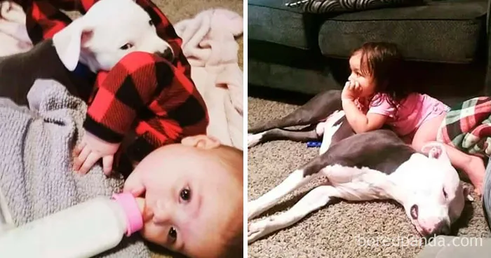 Then And Now. Growing Up Together