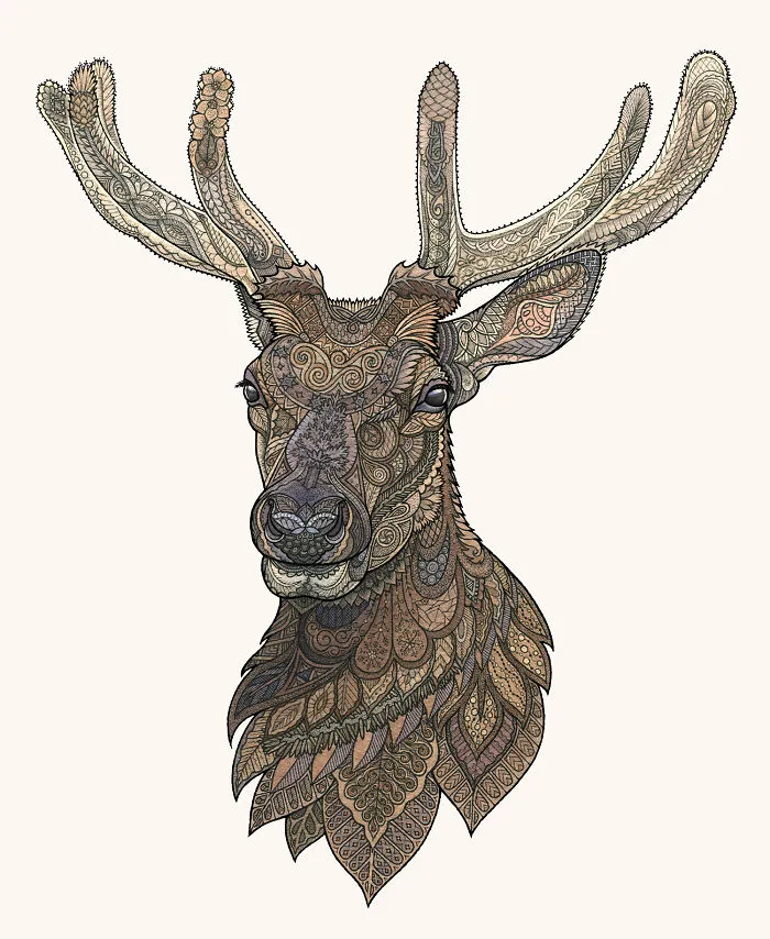 Reindeer