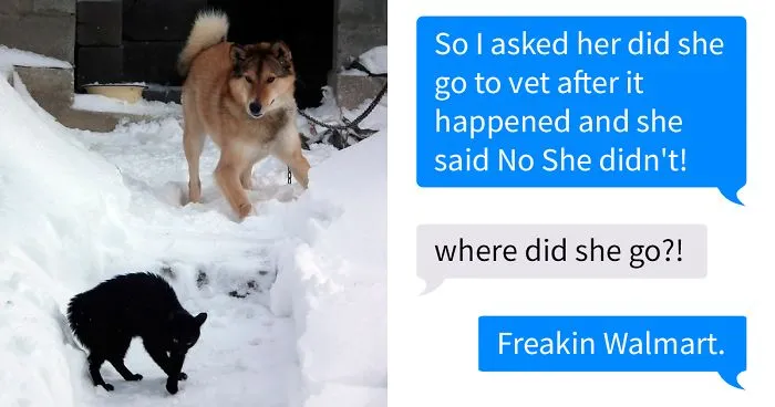 Girl Gets Hilariously Trolled By A Friend's Made-Up Cat Attack Story