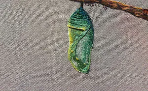 I Use Embroidery To Illustrate The Little Things That Make Fall, Fall.