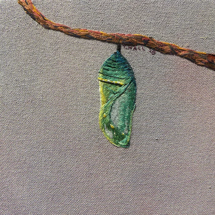 I Use Embroidery To Illustrate The Little Things That Make Fall, Fall.