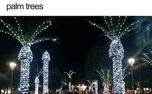 50 Hilarious Christmas Memes