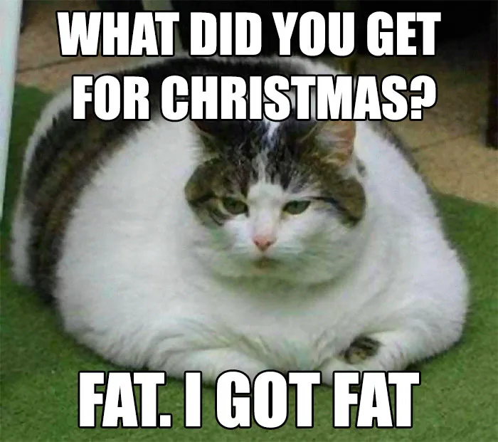 Holiday Gains Unwrapped