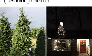 50 Hilarious Christmas Memes