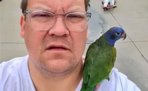 Someone Says "Depression Is A Choice", And Andy Richter's Response Is Brilliant