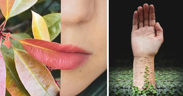 I Challenge Myself To Find Similarities Between The Human Body And Nature