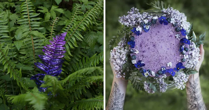 I Throw Fairytale Gatherings For Strangers Because The World Needs More Wonder