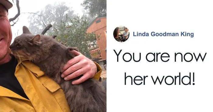 Firefighter Saves Cat From Wildfire In California, And Now She Can't Thank Him Enough