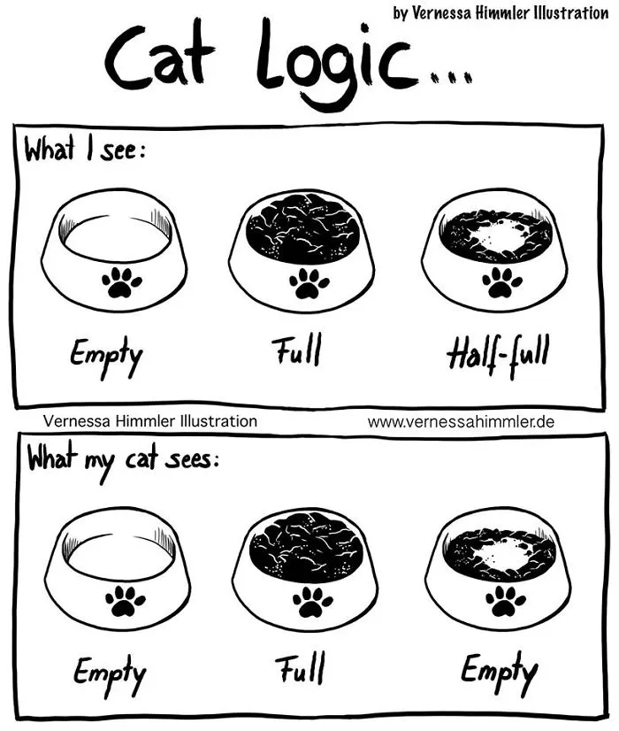 42 Hilarious Comics That Capture My Life With Two Cheeky Cats
