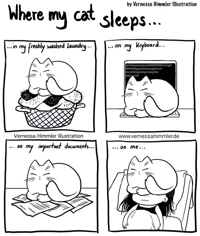 42 Hilarious Comics That Capture My Life With Two Cheeky Cats