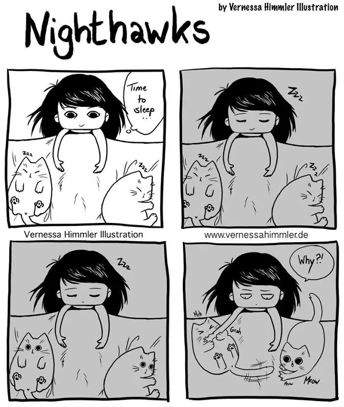 42 Hilarious Comics That Capture My Life With Two Cheeky Cats