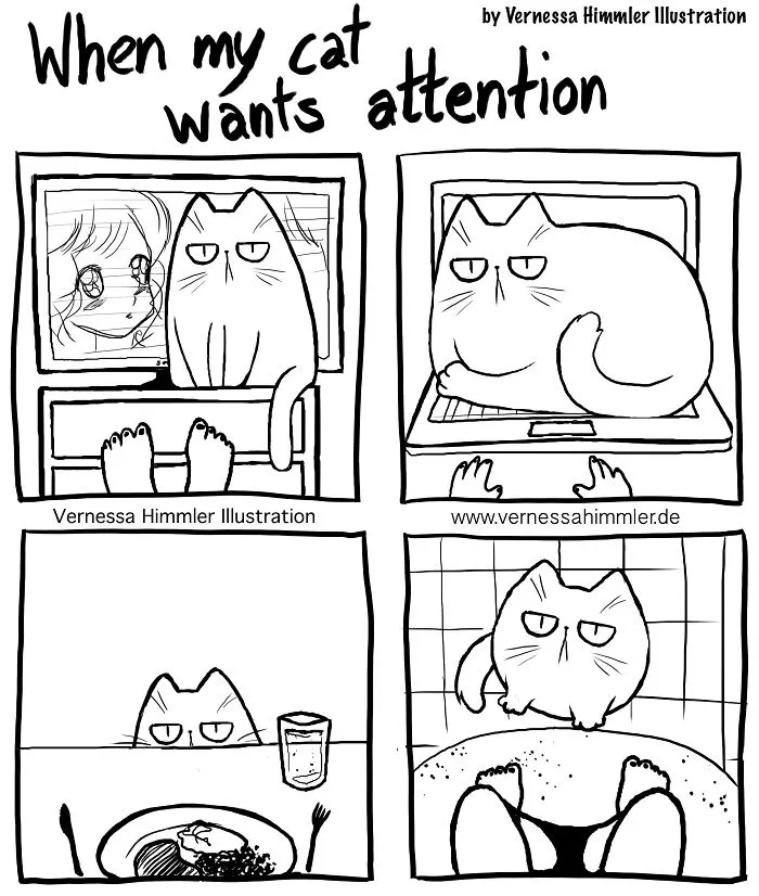 42 Hilarious Comics That Capture My Life With Two Cheeky Cats