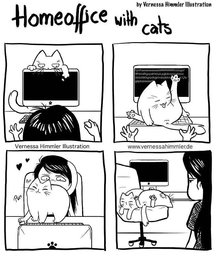 Cat Comics