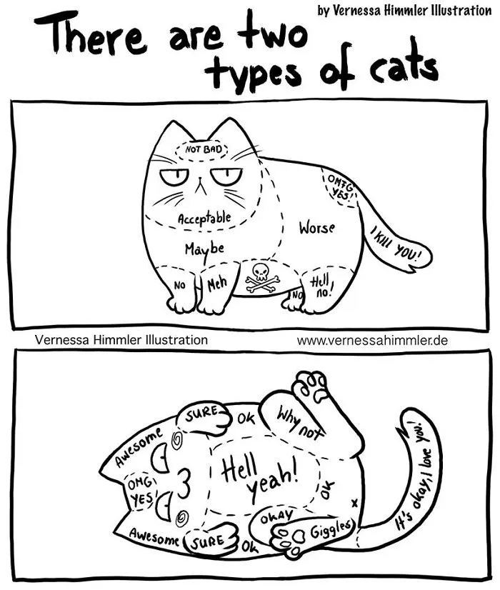 42 Hilarious Comics That Capture My Life With Two Cheeky Cats