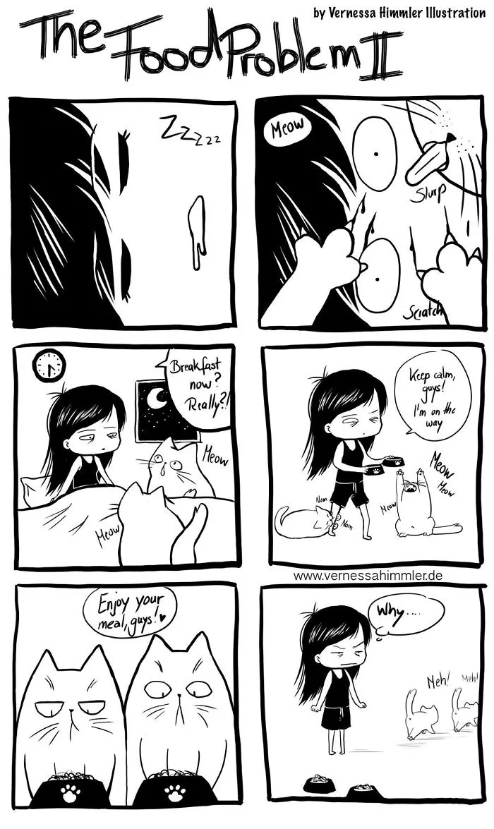 42 Hilarious Comics That Capture My Life With Two Cheeky Cats