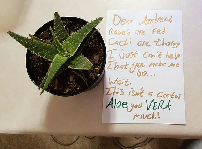 My Girlfriend Left Me A Note
