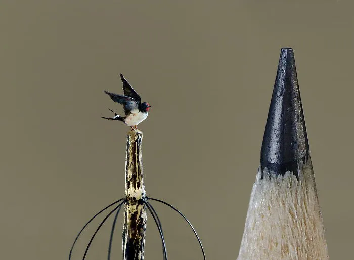 Miniature Swallow