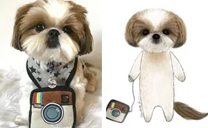 I Draw My Instagram Followers' Pets And Share Their Stories With The World