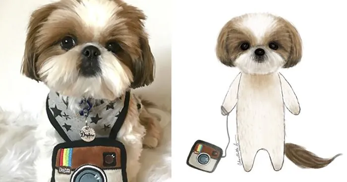 I Draw My Instagram Followers' Pets And Share Their Stories With The World