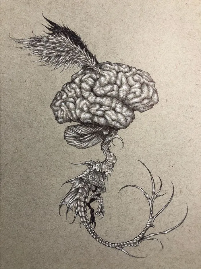 Let Your Imagination Fly