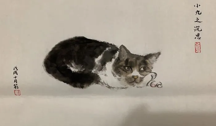 Cat