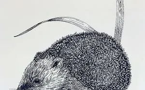 20+ Lovely Detailed Drawings By Bas Geeraets