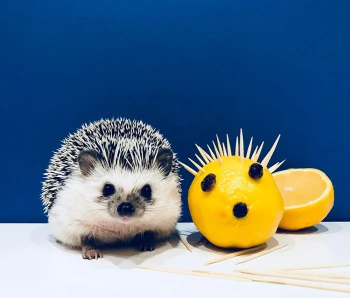 Hey Human, Like My Self-Portrait? I Did It Myself