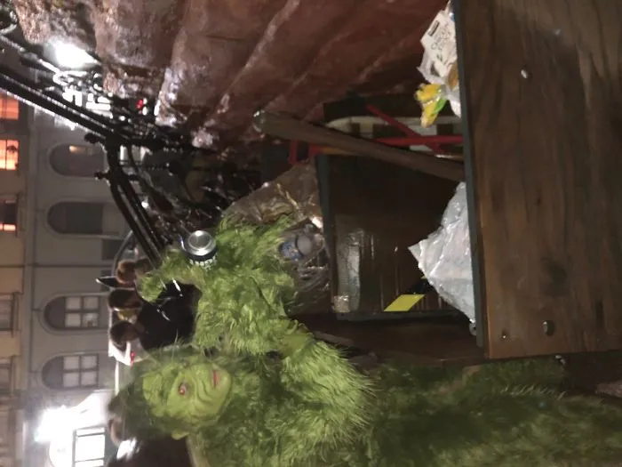 Nyc Grinch